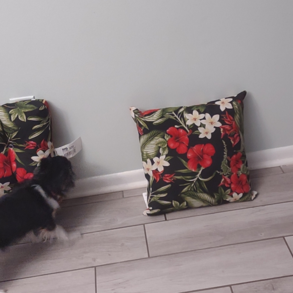 (2) Chase cushions (reverseable), (4) chair cushions, (2)toss pillows
